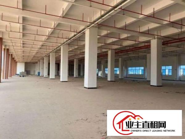  塘厦镇新出红本工业园12万平方厂房物流仓出租