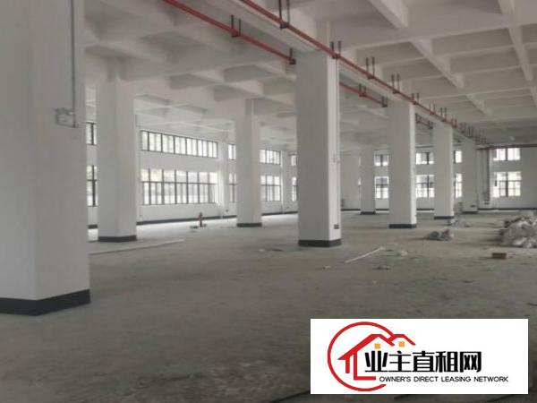  塘厦镇新出红本工业园12万平方厂房物流仓出租