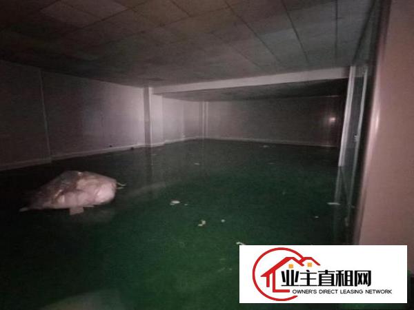  塘厦蛟乙塘现成装修无尘车间500平方，不用转让费