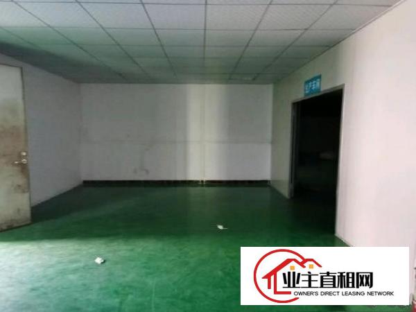  塘厦蛟乙塘现成装修无尘车间500平方，不用转让费