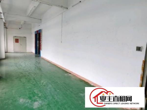  塘厦蛟乙塘现成装修无尘车间500平方，不用转让费