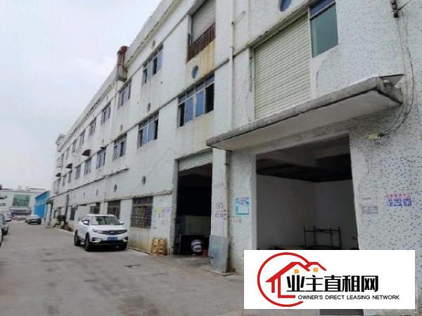  塘厦蛟乙塘现成装修无尘车间500平方，不用转让费