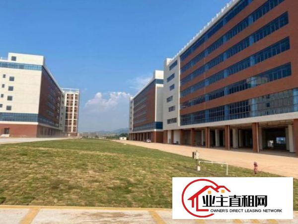  东莞塘厦镇全新花园式重工业厂房总面积12000可分租