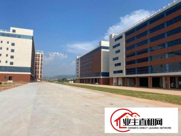  东莞塘厦镇全新花园式重工业厂房总面积12000可分租