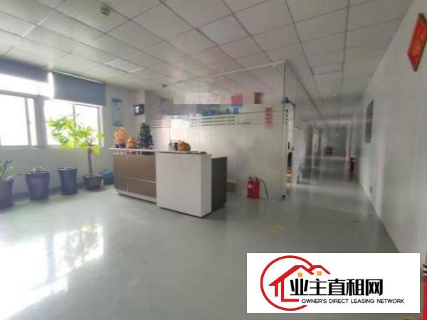  东莞塘厦大坪高速路口附近楼上整层1200平精装修无尘车间