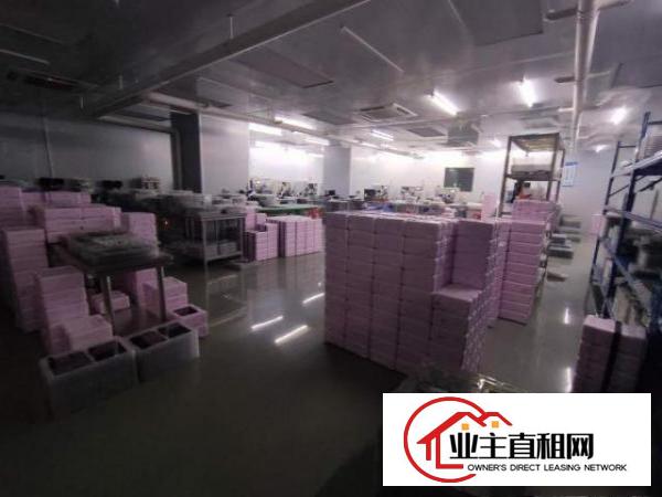 东莞塘厦大坪高速路口附近楼上整层1200平精装修无尘车间