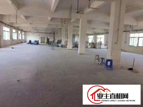  形像好有办公楼，塘厦田心独院厂房出租4200平