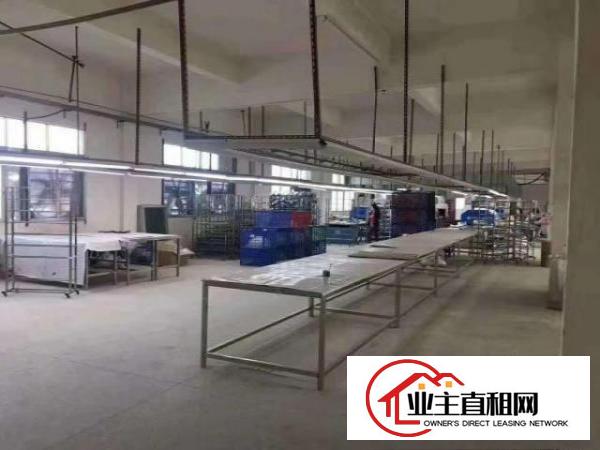  形像好有办公楼，塘厦田心独院厂房出租4200平