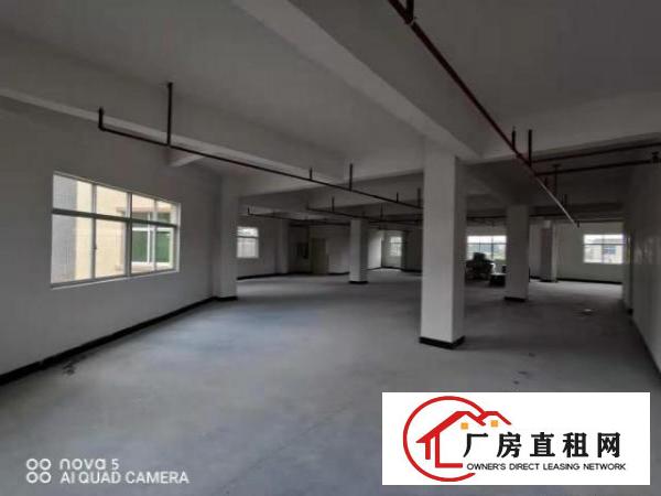  塘厦凤凰岗3至7楼780平方/层可分租免租期长 空地大