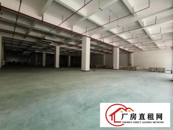  塘厦林村2460平米原房东一楼厂房，临东深二线，太阳城