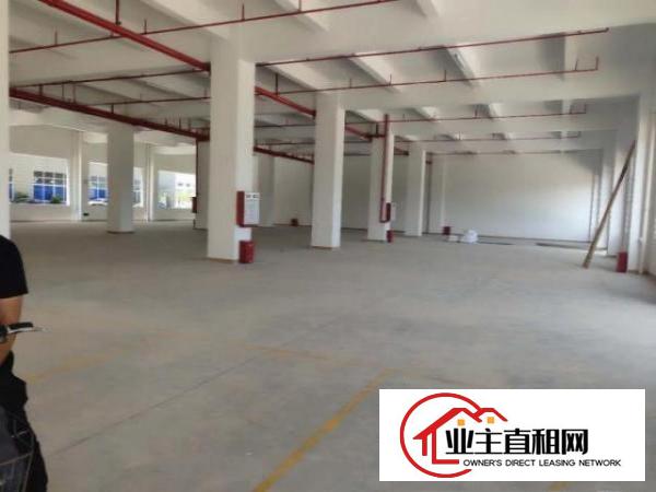  排烟喷淋，卸货台，石潭布20200平方标准厂房，500方起租