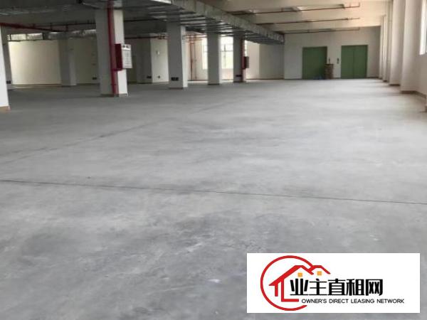  排烟喷淋，卸货台，石潭布20200平方标准厂房，500方起租