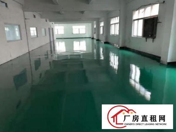  出租塘厦168工业区300平，交通方便，价格优势