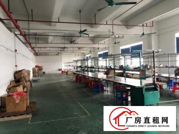  原房东，现成装修水电