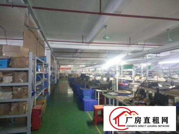  塘厦石鼓楼上厂房便宜出租2000平水电齐全实际面积