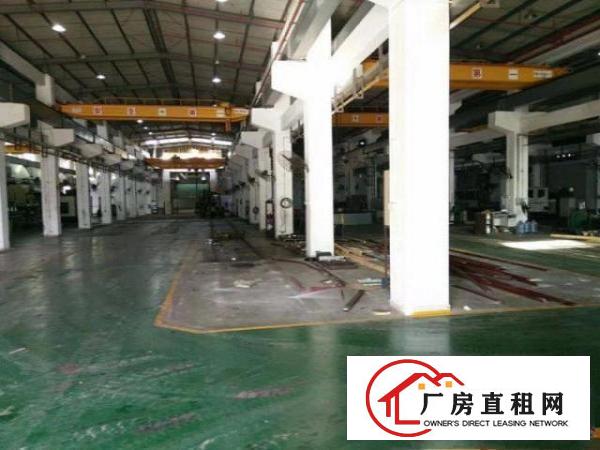  塘厦新出滴水11米高钢构带喷淋，带装修行车免费用