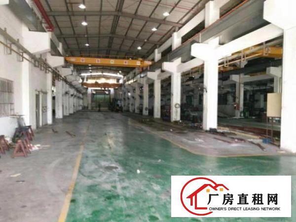  塘厦新出滴水11米高钢构带喷淋，带装修行车免费用