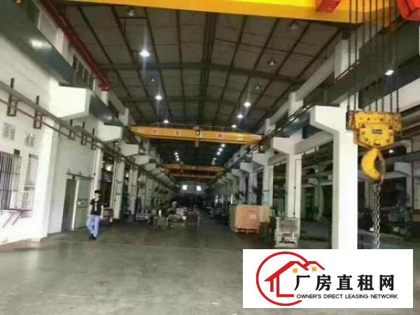  塘厦新出滴水11米高钢构带喷淋，带装修行车免费用