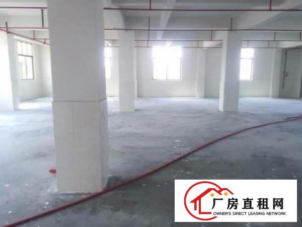  优势：路边好出行 凤凰岗800平方米一楼标准厂房 带喷淋出租