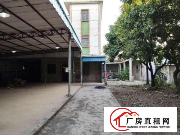 东莞市塘厦镇桥陇厂房屋院独院招租加工企业办公室出租