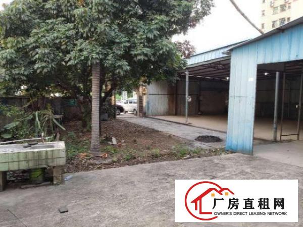  东莞市塘厦镇桥陇厂房屋院独院招租加工企业办公室出租