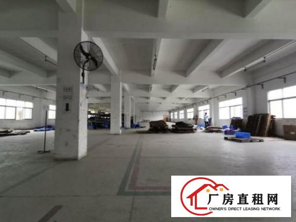  科苑城/龙背岭，大坪高速1公里4000平方带行车一楼标准厂房