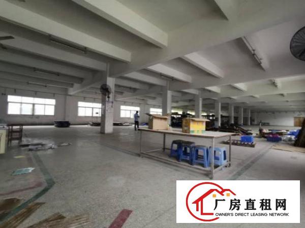  科苑城/龙背岭，大坪高速1公里4000平方带行车一楼标准厂房