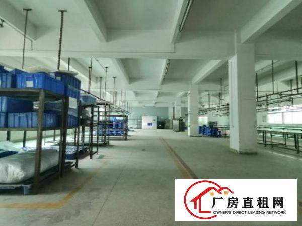  科苑城/龙背岭，大坪高速1公里4000平方带行车一楼标准厂房