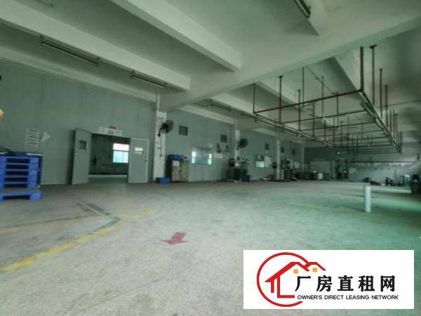  科苑城/龙背岭，大坪高速1公里4000平方带行车一楼标准厂房