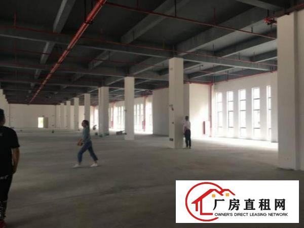  石鼓3楼厂房480平和2楼1000平，一楼700和1300平