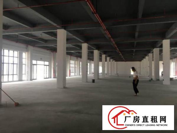  石鼓3楼厂房480平和2楼1000平，一楼700和1300平