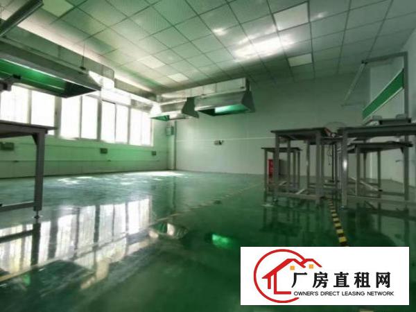  ~塘厦龙背岭1000平标准厂房有地坪漆和办公室，公摊较小~