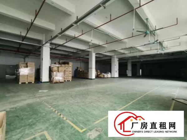  塘厦靠观澜3300平方实拍标准厂房（办公室，喷淋，地坪漆）