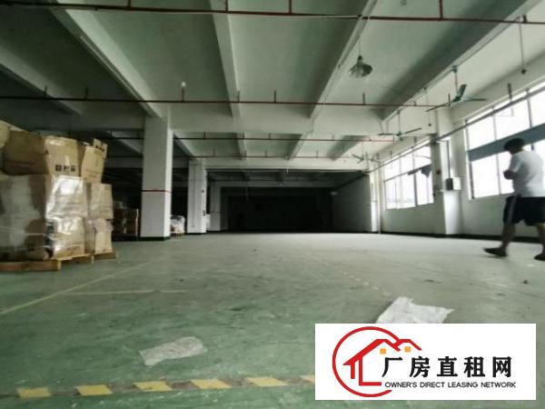  塘厦靠观澜3300平方实拍标准厂房（办公室，喷淋，地坪漆）