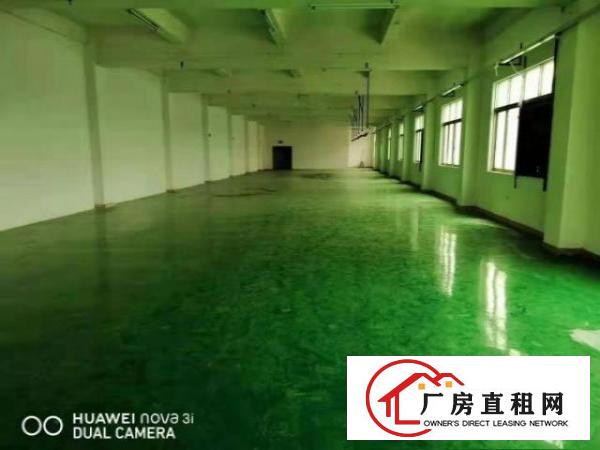  ~实地拍！塘厦平山700平方工业园3F厂房，地坪漆和消防齐~