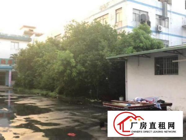  塘厦镇田心高速路口，新空出5800平方独院！原房东无公摊。