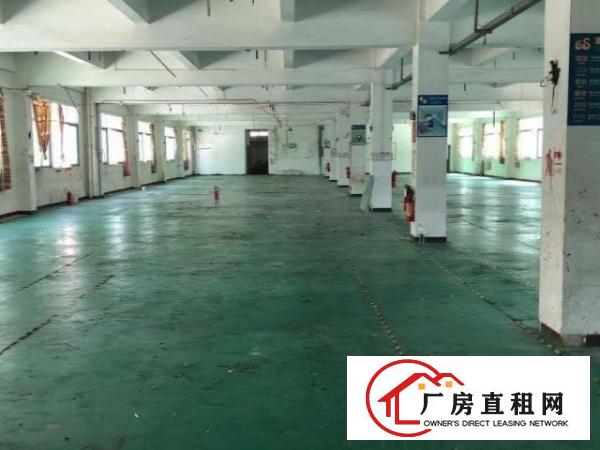  塘厦镇田心高速路口，新空出5800平方独院！原房东无公摊。