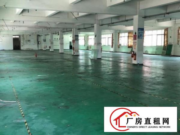 塘厦镇田心高速路口，新空出5800平方独院！原房东无公摊。