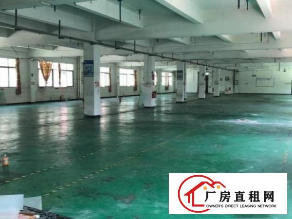  塘厦镇田心高速路口，新空出5800平方独院！原房东无公摊。