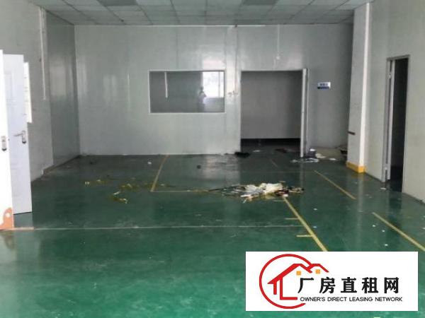  塘厦镇科苑城新空出两层共3200平方！看中价格好谈！