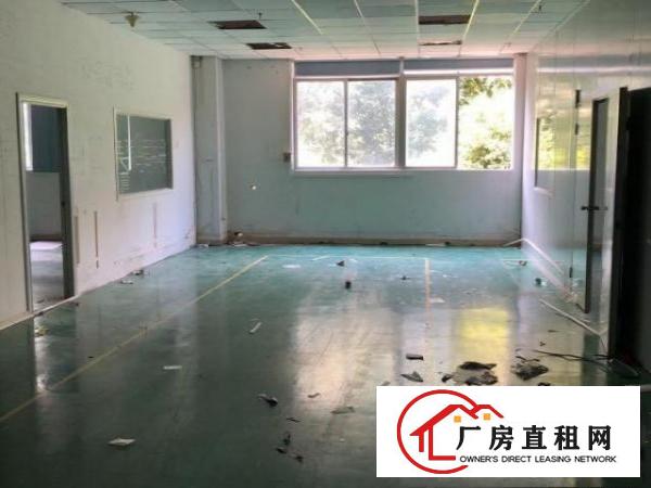  塘厦镇科苑城新空出两层共3200平方！看中价格好谈！