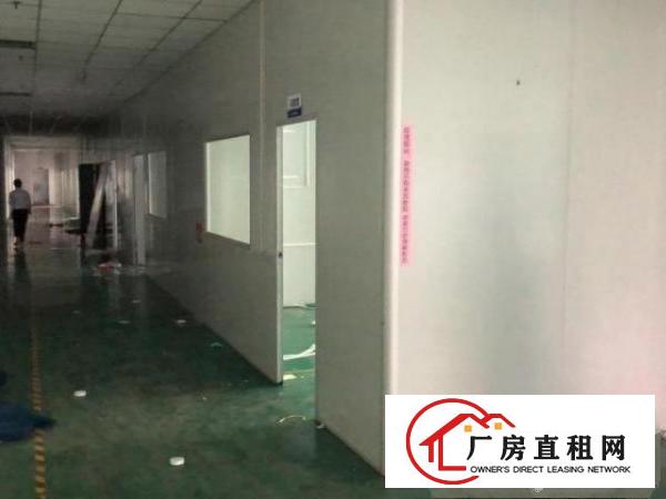  塘厦镇科苑城新空出两层共3200平方！看中价格好谈！