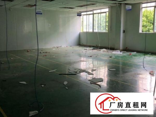  塘厦镇科苑城新空出两层共3200平方！看中价格好谈！