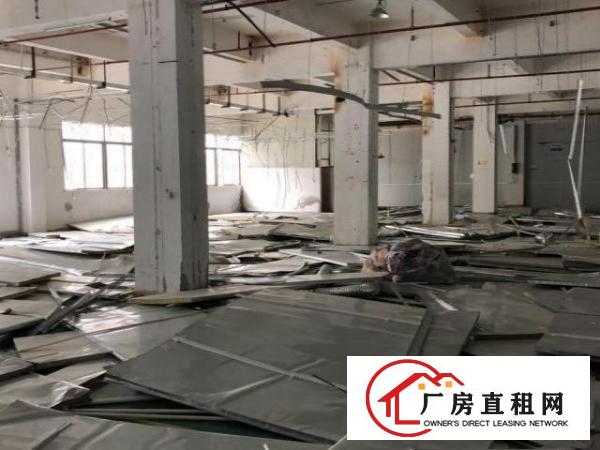  塘厦镇科苑城新空出两层共3200平方！看中价格好谈！