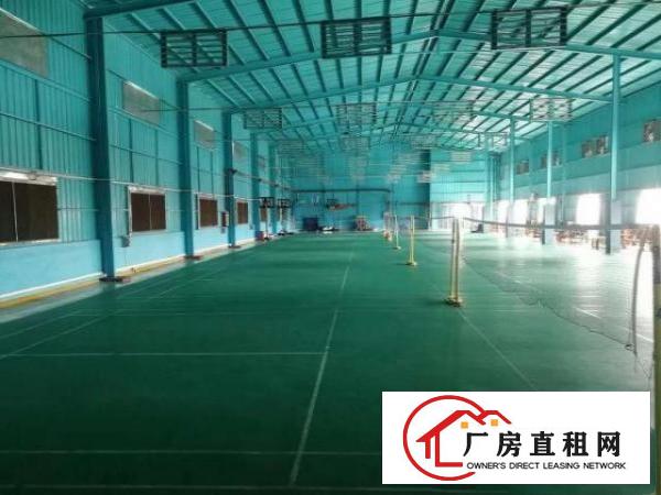  出租塘厦中心区，四楼钢结构1200平米，层高8米