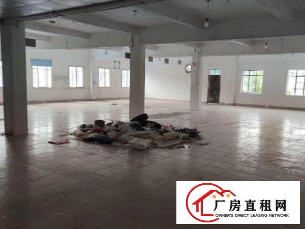  出租塘厦168工业区