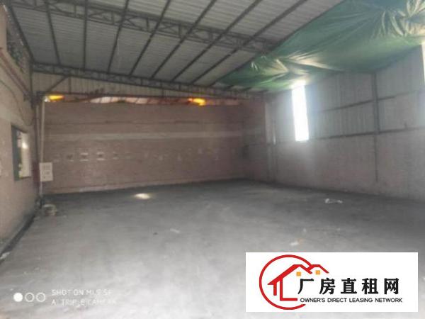  塘厦石马珍珠棉家具工艺品塑胶抽粒钢构厂房出租1800平
