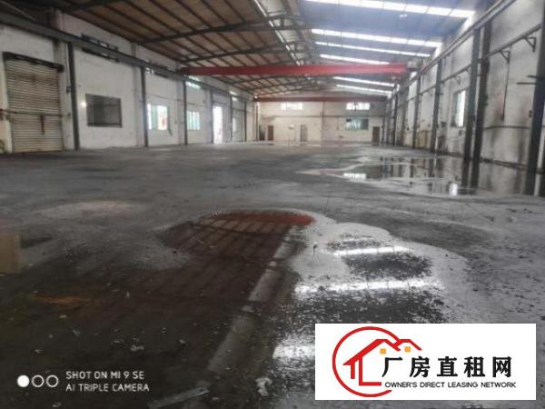 塘厦石马珍珠棉家具工艺品塑胶抽粒钢构厂房出租1800平