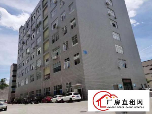  塘厦新开发区楼上5000平米，可以分租