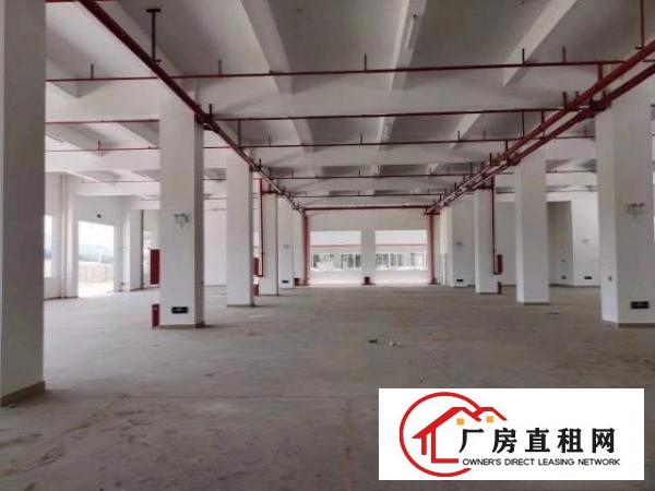  塘厦新开发区楼上5000平米，可以分租